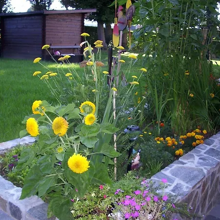 Rooms4young Ljubljana